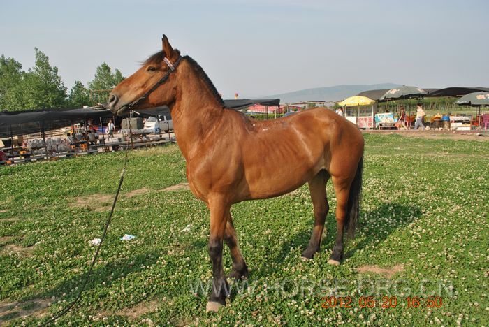nEO_IMG_DSC_7360.jpg