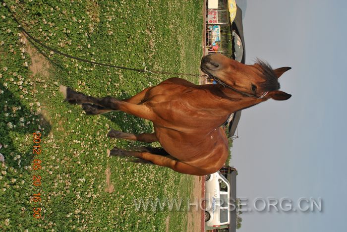 nEO_IMG_DSC_7361.jpg