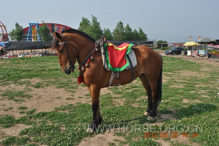 nEO_IMG_DSC_7345.jpg