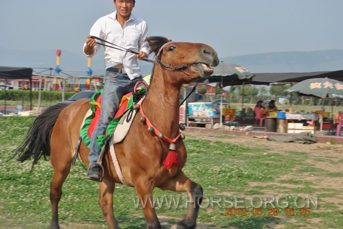 nEO_IMG_DSC_7353.jpg
