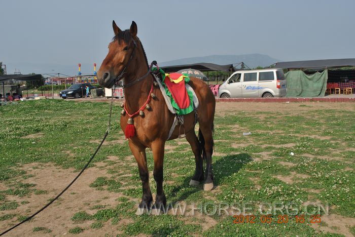 nEO_IMG_DSC_7348.jpg