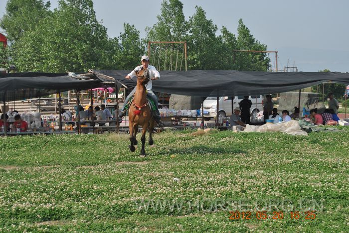 nEO_IMG_DSC_7350.jpg