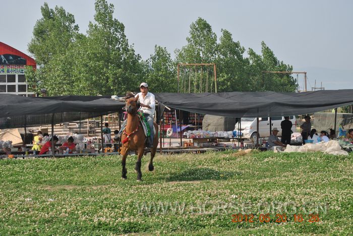 nEO_IMG_DSC_7355.jpg