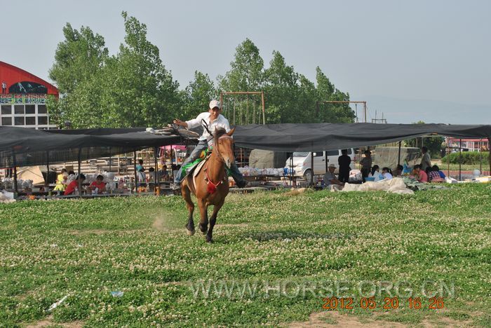 nEO_IMG_DSC_7356.jpg