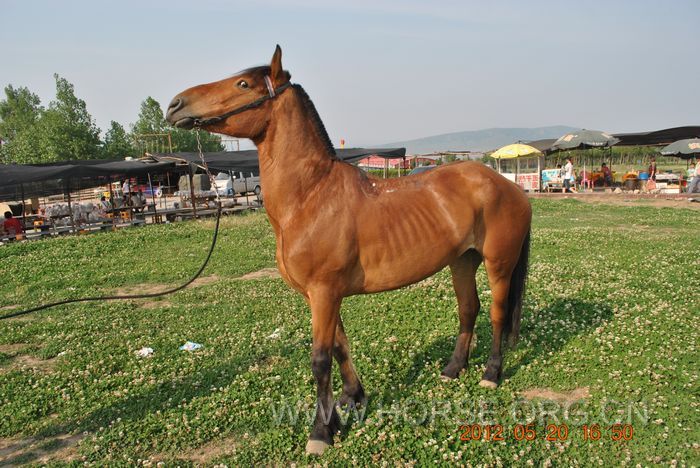 nEO_IMG_DSC_7359.jpg