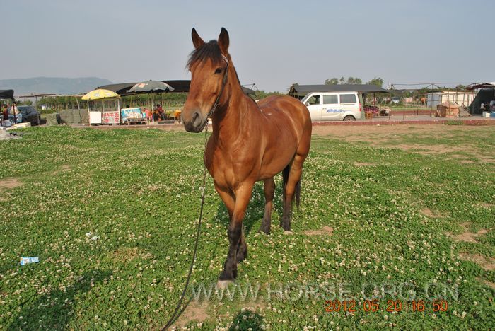 nEO_IMG_DSC_7362.jpg