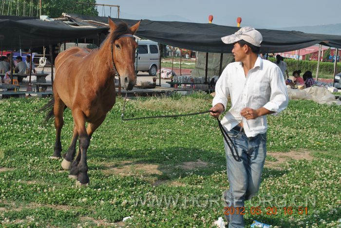 nEO_IMG_DSC_7364.jpg
