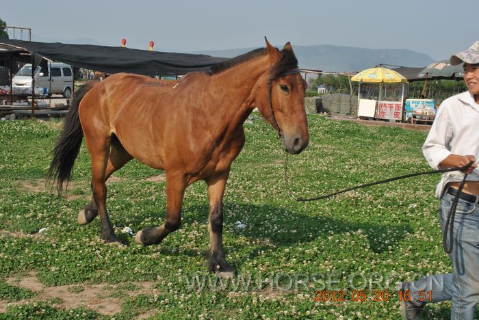 nEO_IMG_DSC_7365.jpg