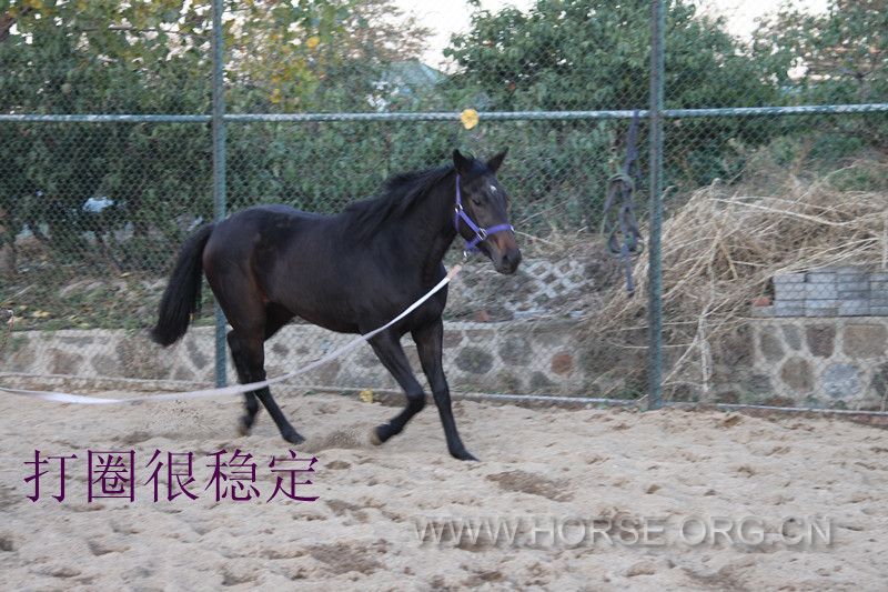IMG_4974_副本.jpg