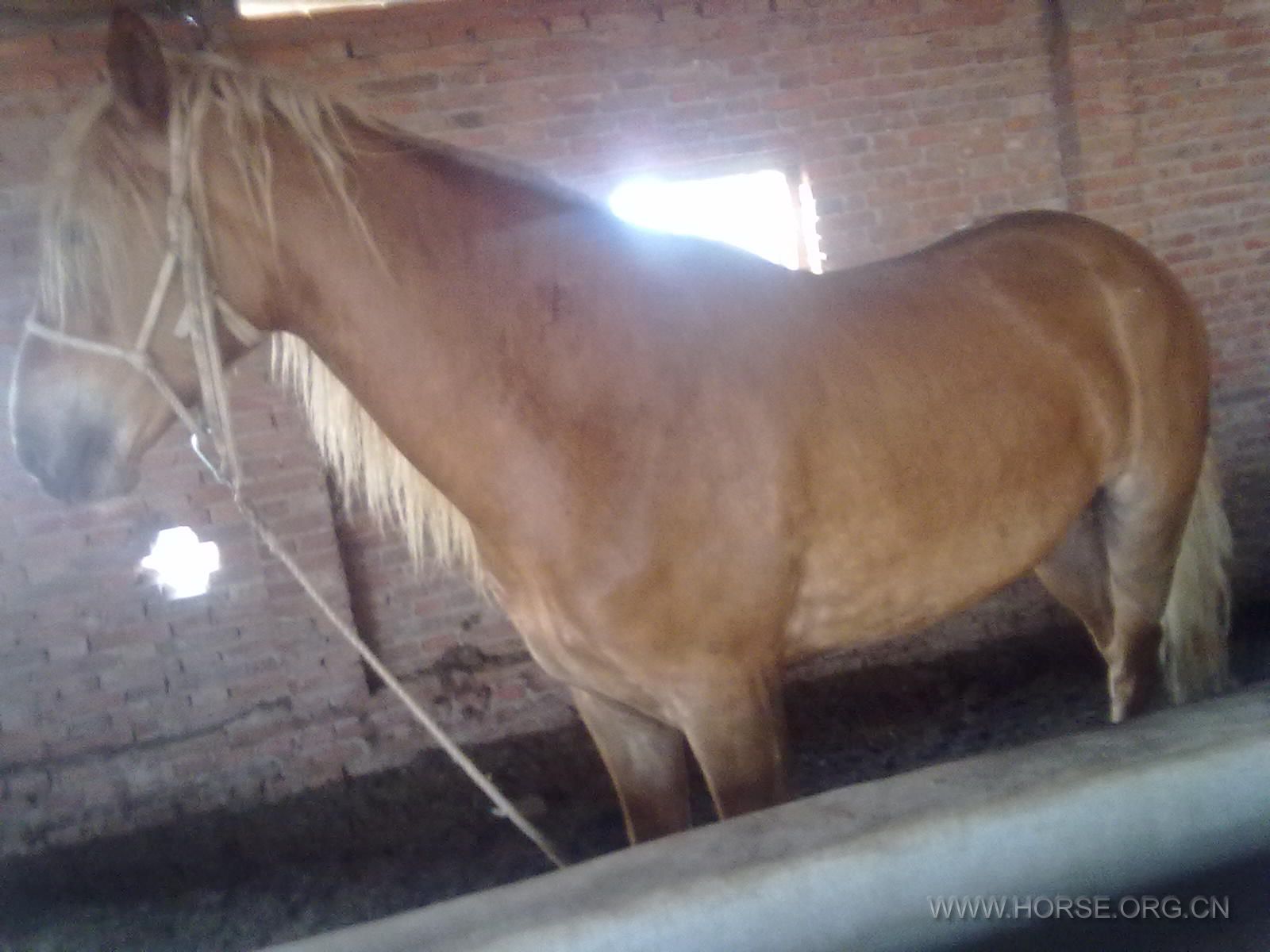 20120526005.jpg