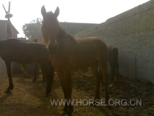 20120604624.jpg