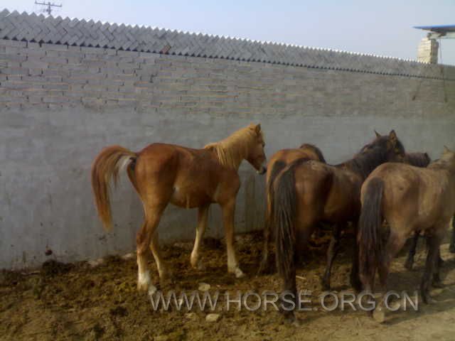 20120604629.jpg