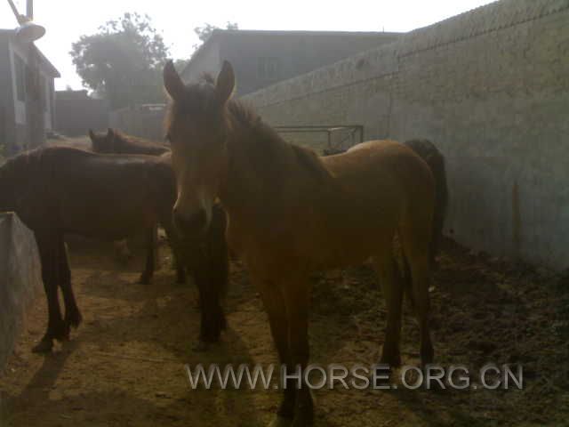 20120604625.jpg