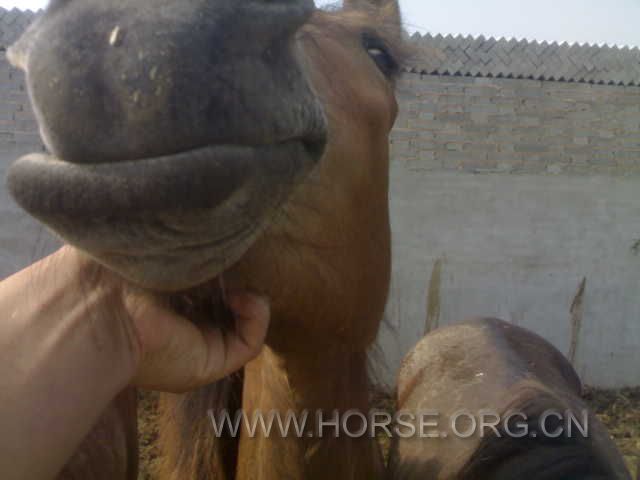 20120604632.jpg