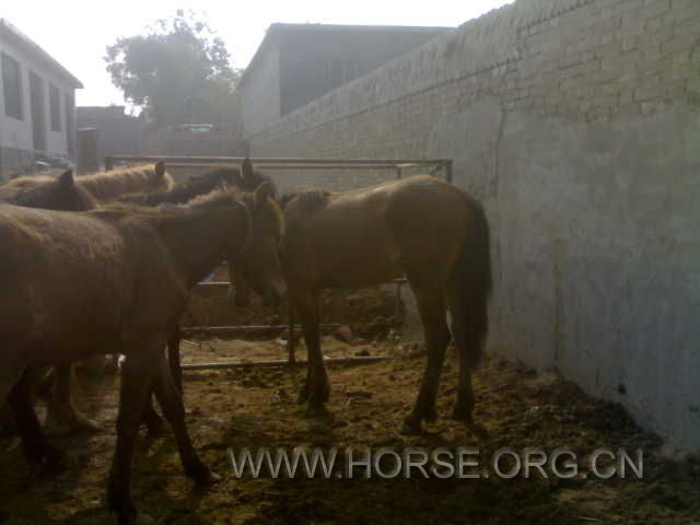 20120604627.jpg