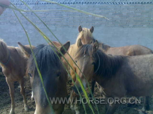 20120604631.jpg