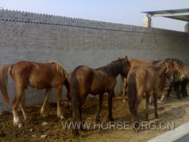 20120604630.jpg