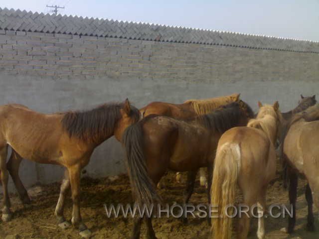 20120604628.jpg