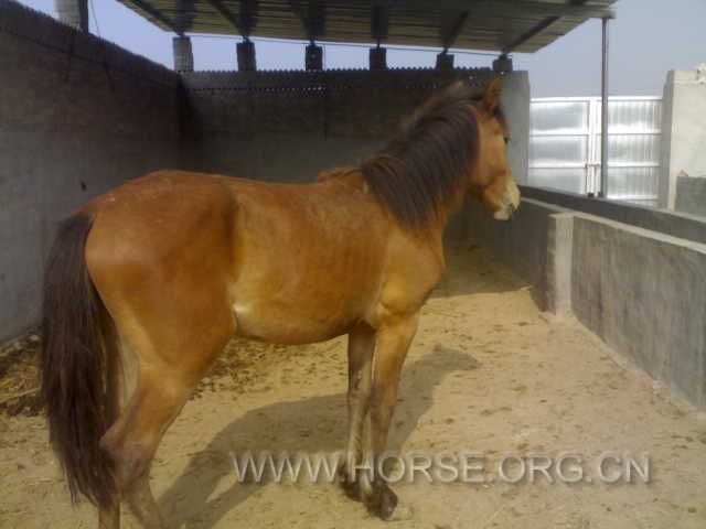 20120604626.jpg