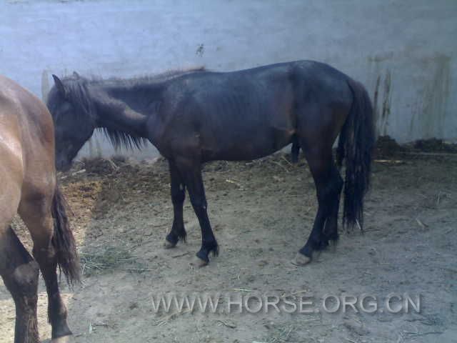 20120605638.jpg