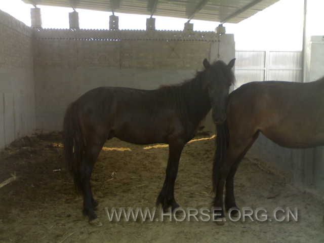 20120605639.jpg