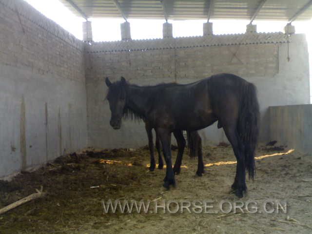 20120605641.jpg