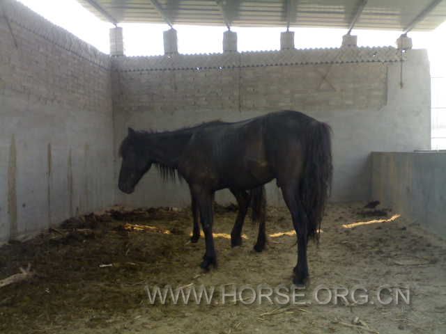 20120605640.jpg