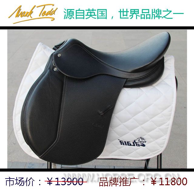 Marktodd综合鞍B.JPG