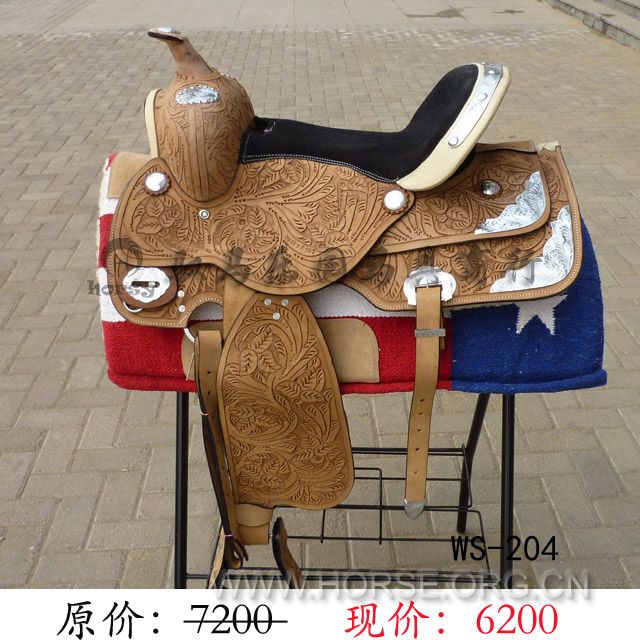 WS204.jpg