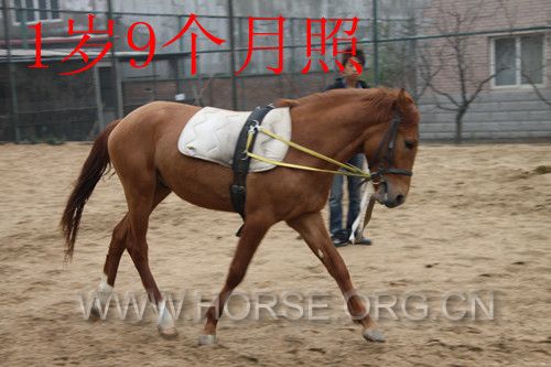 IMG_5105_副本.jpg