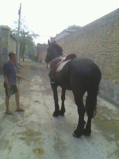 IMG0384A.jpg