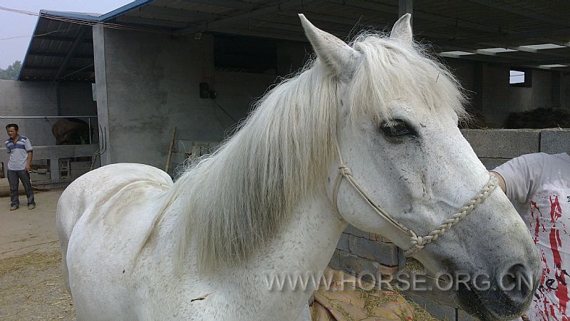 news_2012612174040.jpg