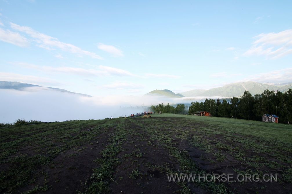 IMG_2554h.jpg