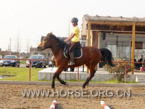 1203260131228a248c644cec66[1].jpg