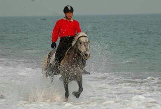 海边骑马踏浪