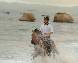 海边骑马踏浪