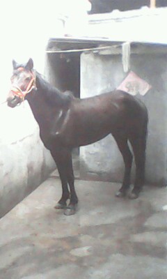 IMG0025A.jpg