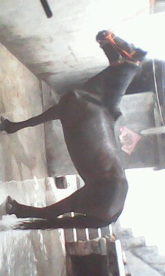 IMG0024A.jpg
