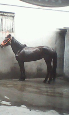 IMG0022A.jpg
