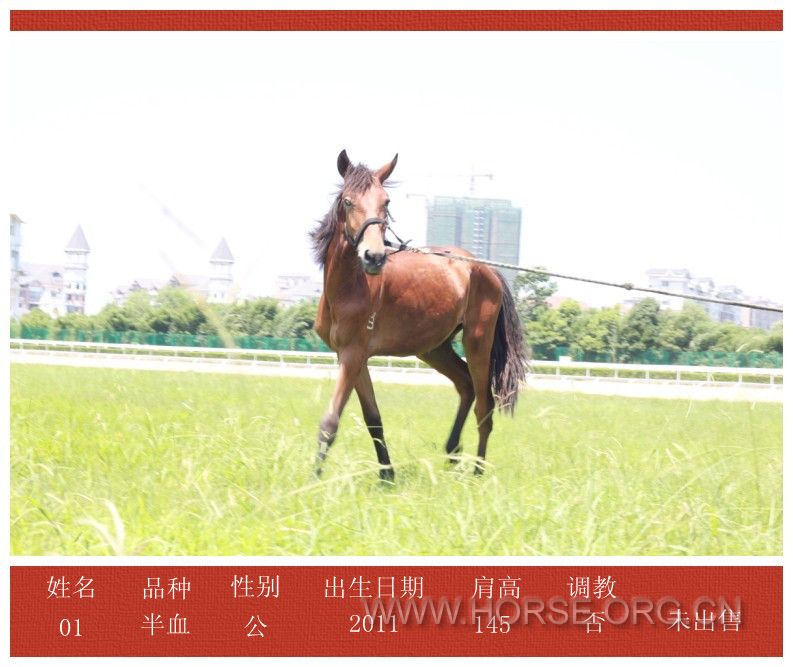 价格2W左右，具体面议
