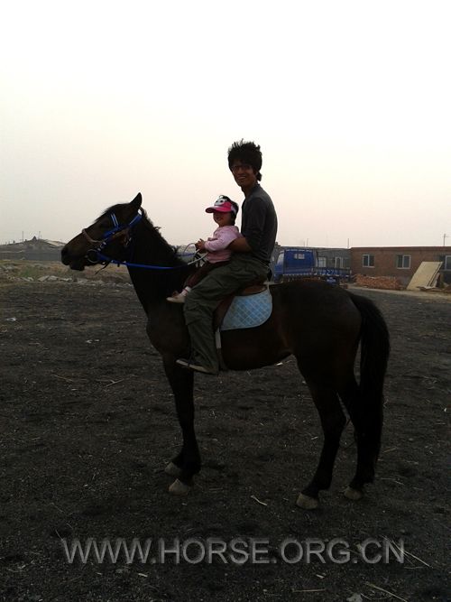 2012-04-30 16.55.49.jpg