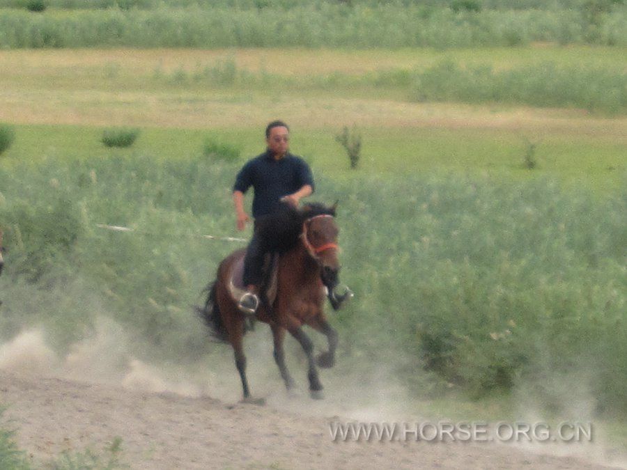 IMG_3123.JPG