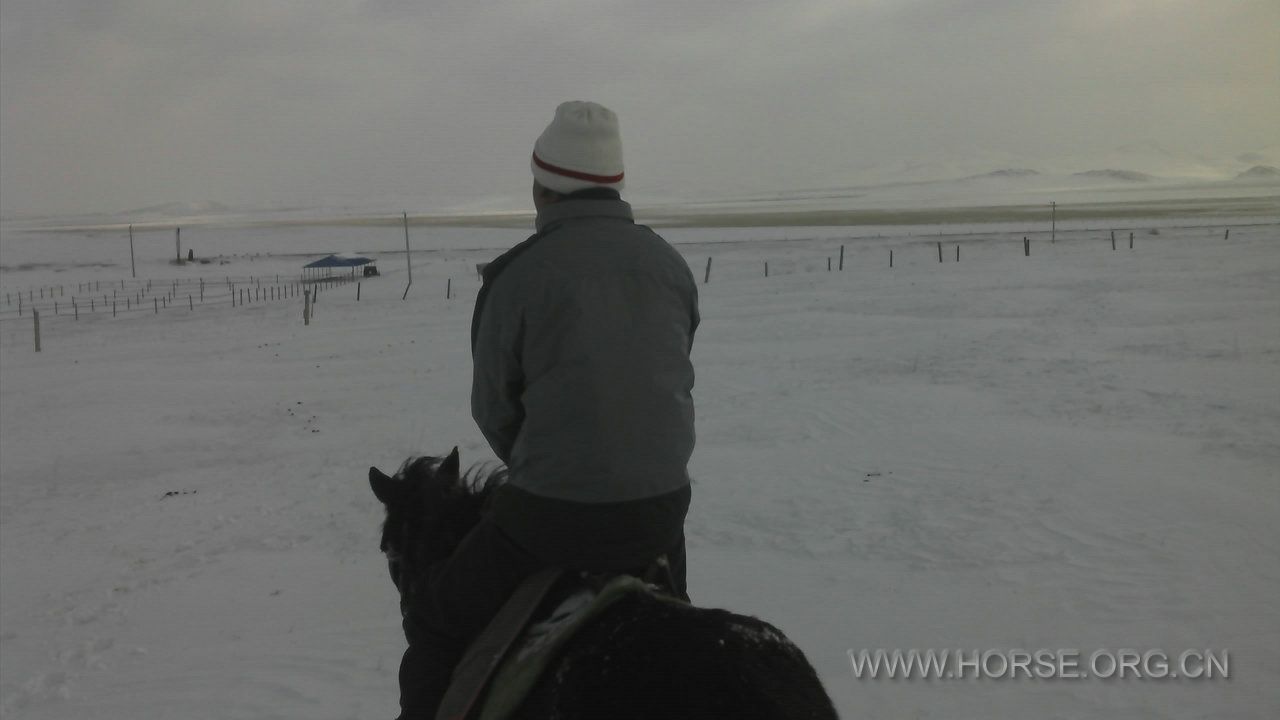 Moto_20120316_090330634.jpg