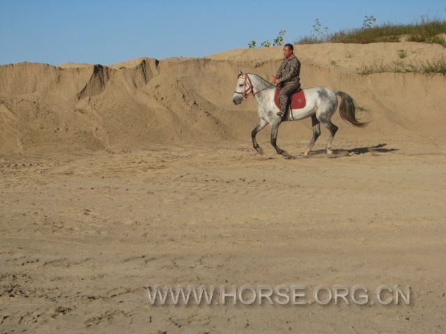 IMG_1504.JPG