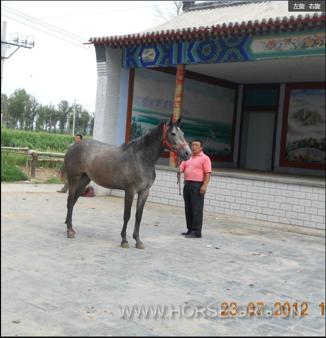 QQ截图20120731092939.jpg