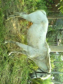 IMG0728174002.jpg
