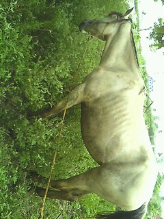 IMG0729153802.jpg