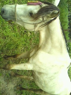 IMG0729153900.jpg