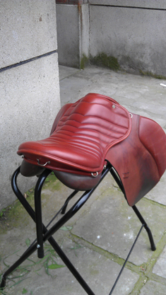 IMAG0494.jpg
