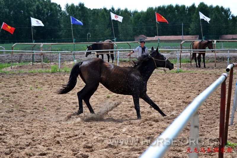 conew_dsc_1868.jpg